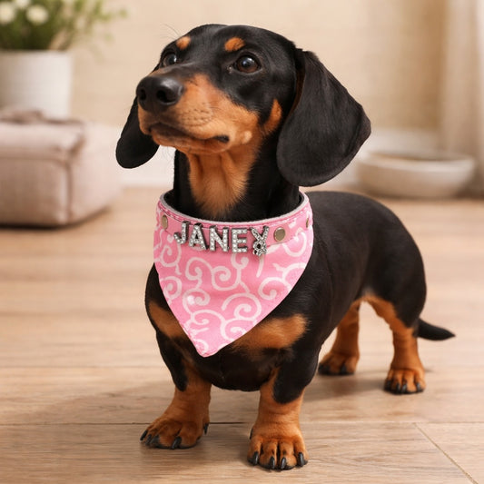 Hundehalstuch mit Namen und Hundehalsband aus echtem Leder. Besetzt mit glitzer Strass-Buchstaben