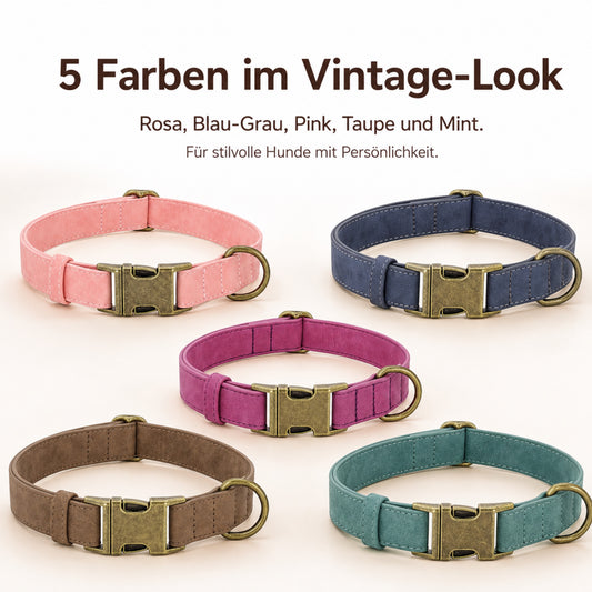 Edles Hundehalsband im Vintagelook mit Messingschnalle und kostenloser Gravur Name und Telefon