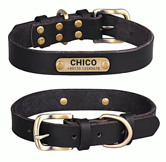 Echtleder Hundehalsband mit Messingschnalle in vier Farben und gratis Gravur Name und Telefon