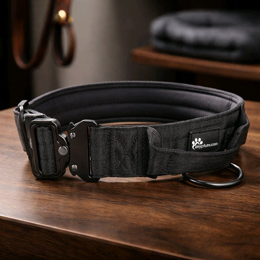 Taktisches Hundehalsband für große Hunde mit Namen graviert