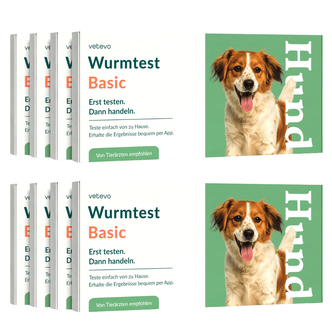 Wurmtest Basic Hund Sparpaket