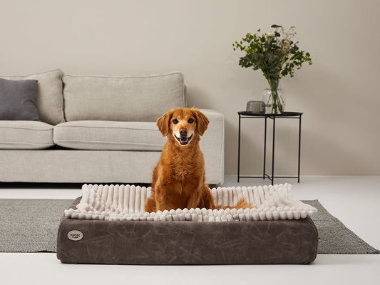 Einlage MJUCK Breitcord