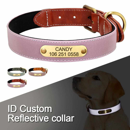 Wunderschönes Reflektions Halsband für Hunde mit gratis Gravur