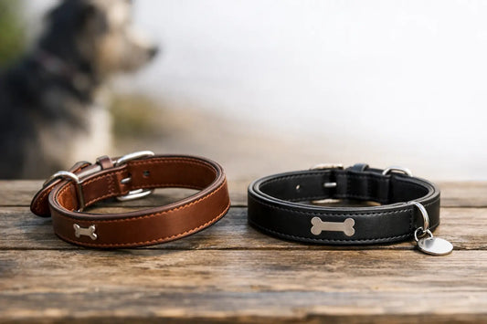 Gravur innen oder außen am Hundehalsband?