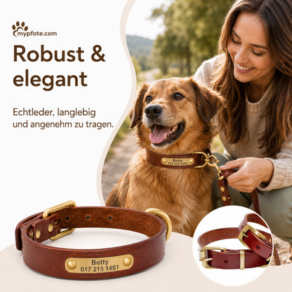Leder Hundehalsband mit goldfarbener Marke, Gravur Name und Telefon