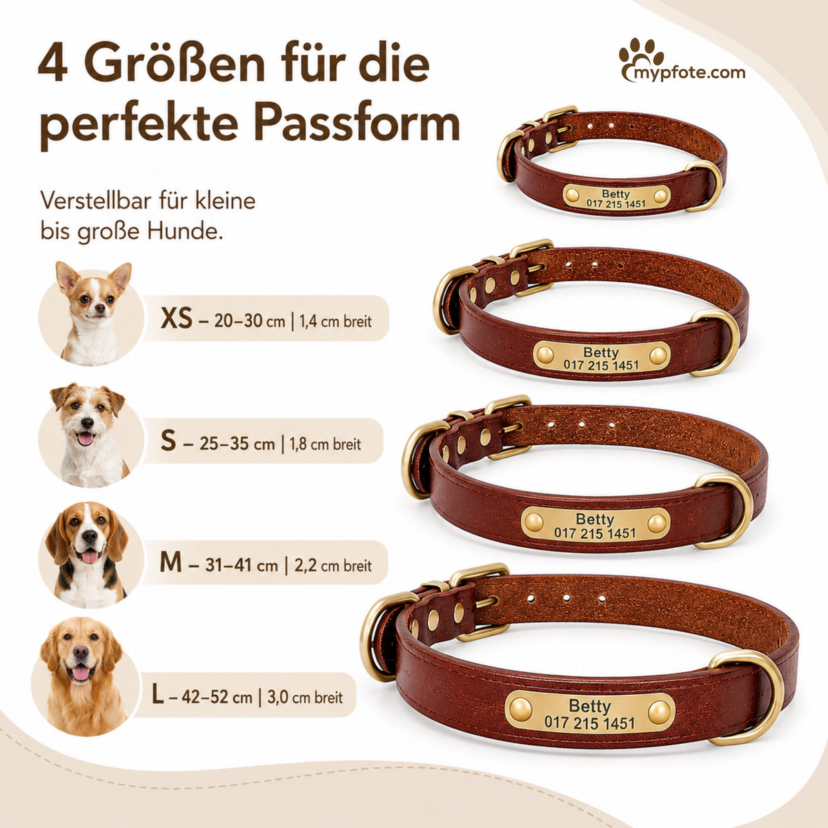 Leder Hundehalsband mit goldfarbener Marke, Gravur Name und Telefon