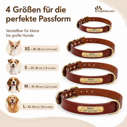 Leder Hundehalsband mit goldfarbener Marke, Gravur Name und Telefon