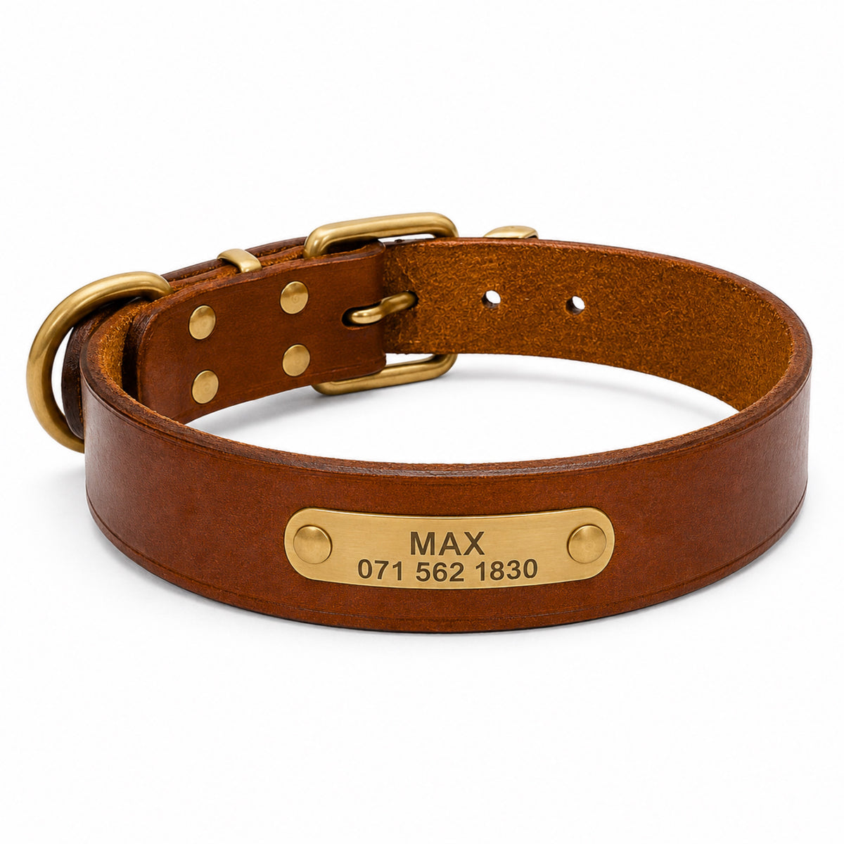 Leder Hundehalsband mit goldfarbener Marke, Gravur Name und Telefon