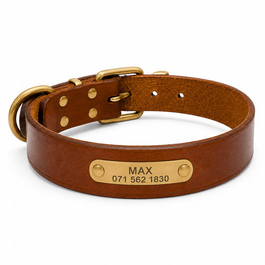 Leder Hundehalsband mit goldfarbener Marke, Gravur Name und Telefon