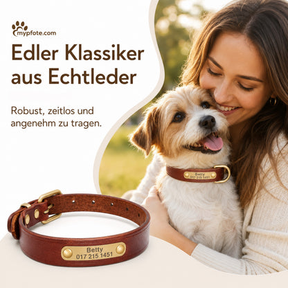 Leder Hundehalsband mit goldfarbener Marke, Gravur Name und Telefon
