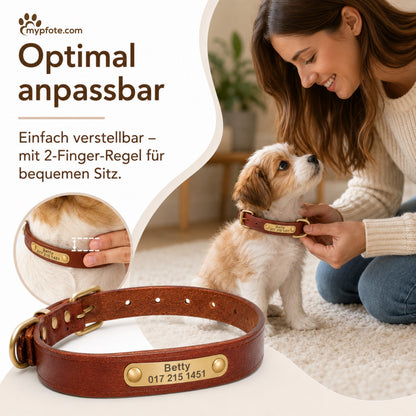 Leder Hundehalsband mit goldfarbener Marke, Gravur Name und Telefon
