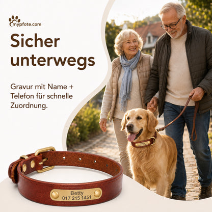 Leder Hundehalsband mit goldfarbener Marke, Gravur Name und Telefon