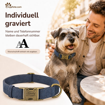 Edles Hundehalsband im Vintagelook mit Messingschnalle und kostenloser Gravur Name und Telefon