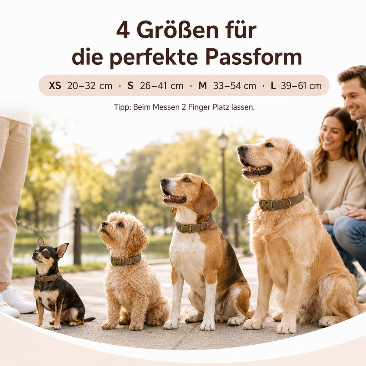 Edles Hundehalsband im Vintagelook mit Messingschnalle und kostenloser Gravur Name und Telefon