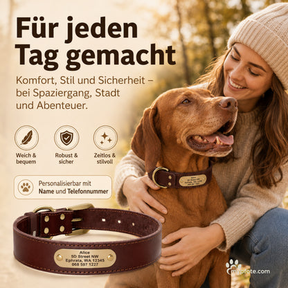 Edles Hundehalsband aus Rindsleder mit Gravur Name und Telefon