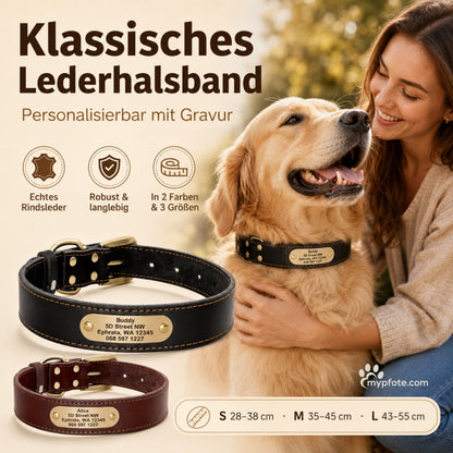 Edles Hundehalsband aus Rindsleder mit Gravur Name und Telefon