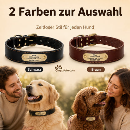 Edles Hundehalsband aus Rindsleder mit Gravur Name und Telefon