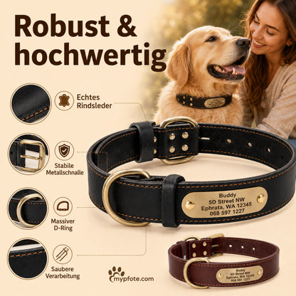 Edles Hundehalsband aus Rindsleder mit Gravur Name und Telefon