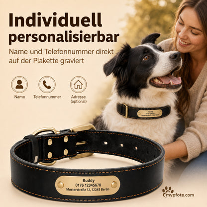 Edles Hundehalsband aus Rindsleder mit Gravur Name und Telefon