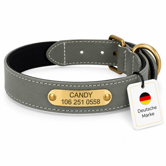 Wunderschönes Reflektions Hundehalsband mit Namen graviert