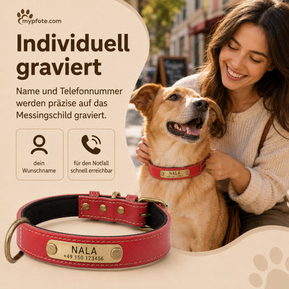 Hundehalsband mit Namen auf Messingschild aus hochwertigem Leder, Innenpolsterung aus Neopren, 2 massive D-Ringe