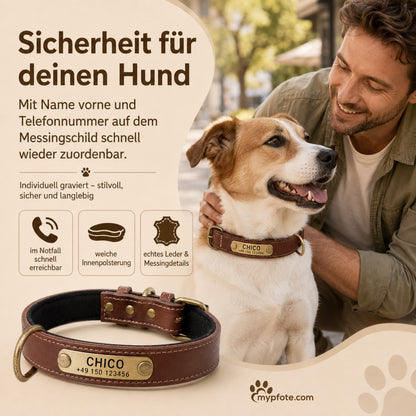 Hundehalsband mit Namen auf Messingschild aus hochwertigem Leder, Innenpolsterung aus Neopren, 2 massive D-Ringe
