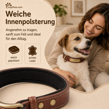 Hundehalsband mit Namen auf Messingschild aus hochwertigem Leder, Innenpolsterung aus Neopren, 2 massive D-Ringe