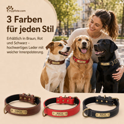 Hundehalsband mit Namen auf Messingschild aus hochwertigem Leder, Innenpolsterung aus Neopren, 2 massive D-Ringe