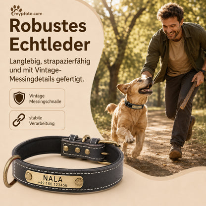 Hundehalsband mit Namen auf Messingschild aus hochwertigem Leder, Innenpolsterung aus Neopren, 2 massive D-Ringe