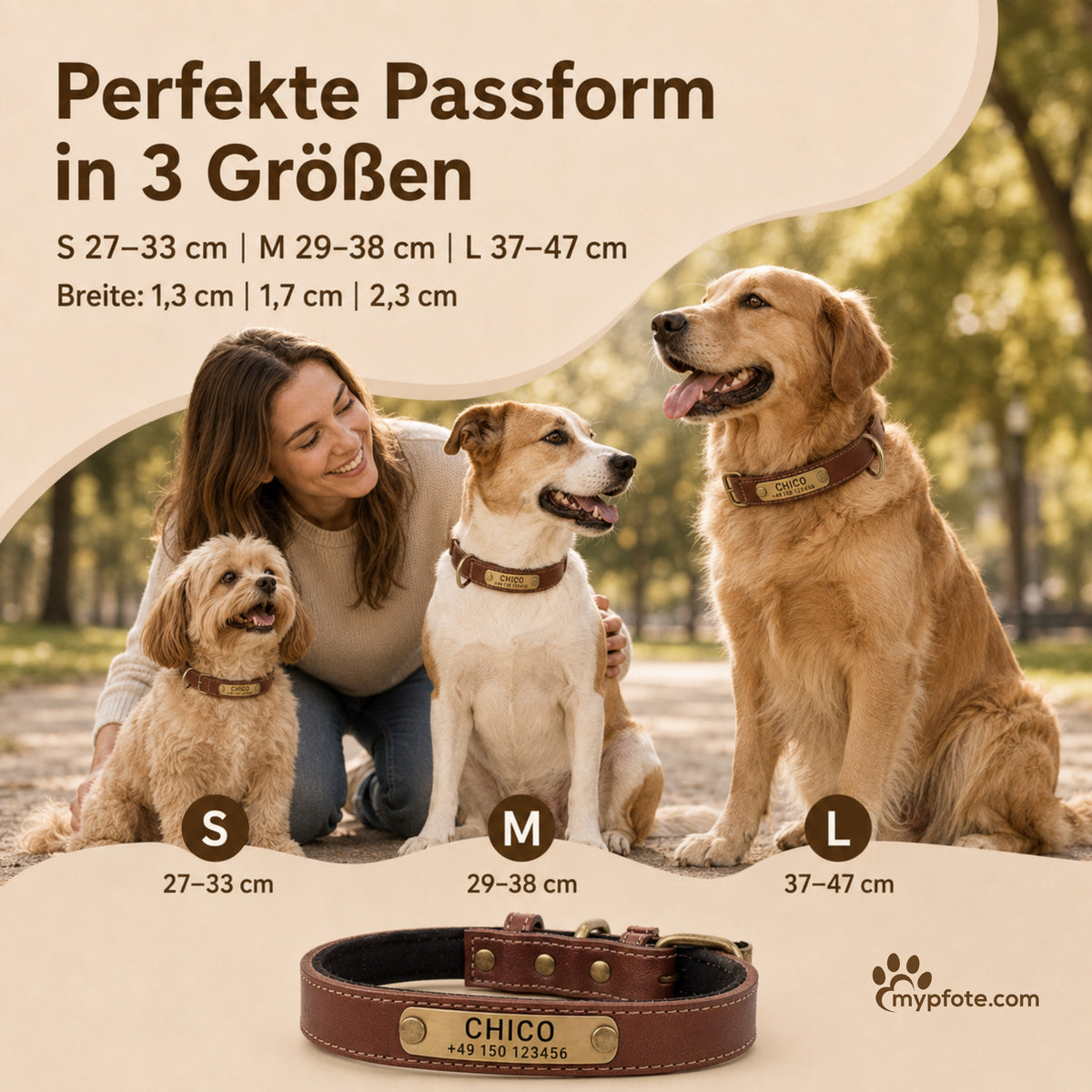 Hundehalsband mit Namen auf Messingschild aus hochwertigem Leder, Innenpolsterung aus Neopren, 2 massive D-Ringe