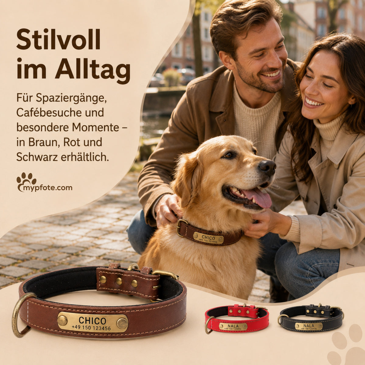 Hundehalsband mit Namen auf Messingschild aus hochwertigem Leder, Innenpolsterung aus Neopren, 2 massive D-Ringe