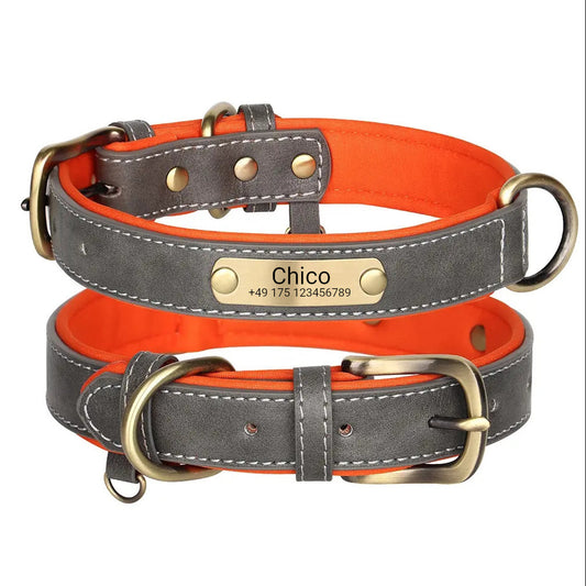 Schickes Hundehalsband mit Gravur, PU grau, Neopren Mesh innen orange, Ring für Hundemarken