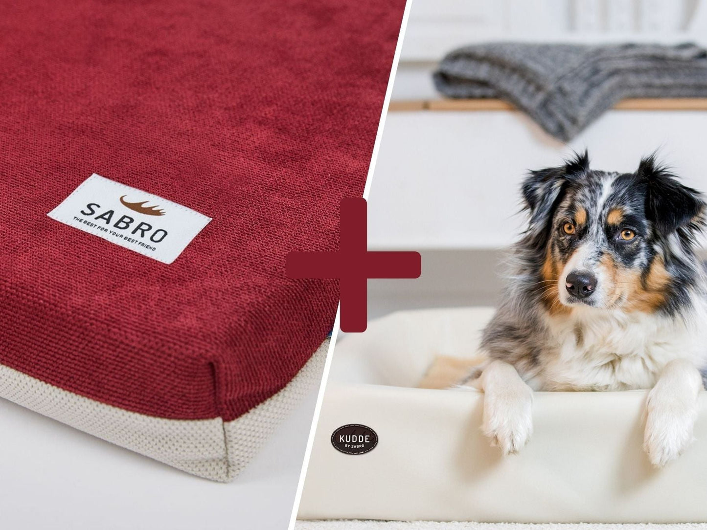 Orthopädisch-Plus Bundle | KUDDE Hundebett + Mumin Einlage Alltid