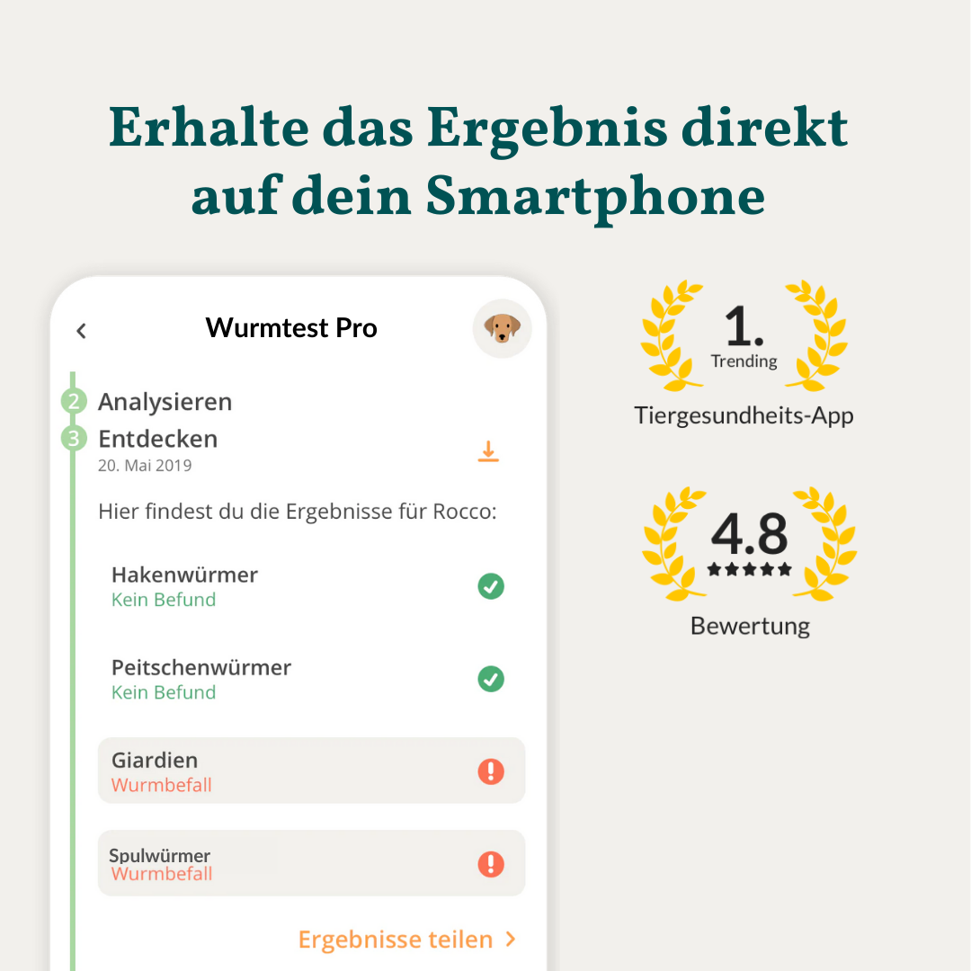 Wurmtest Basic Hund Sparpaket