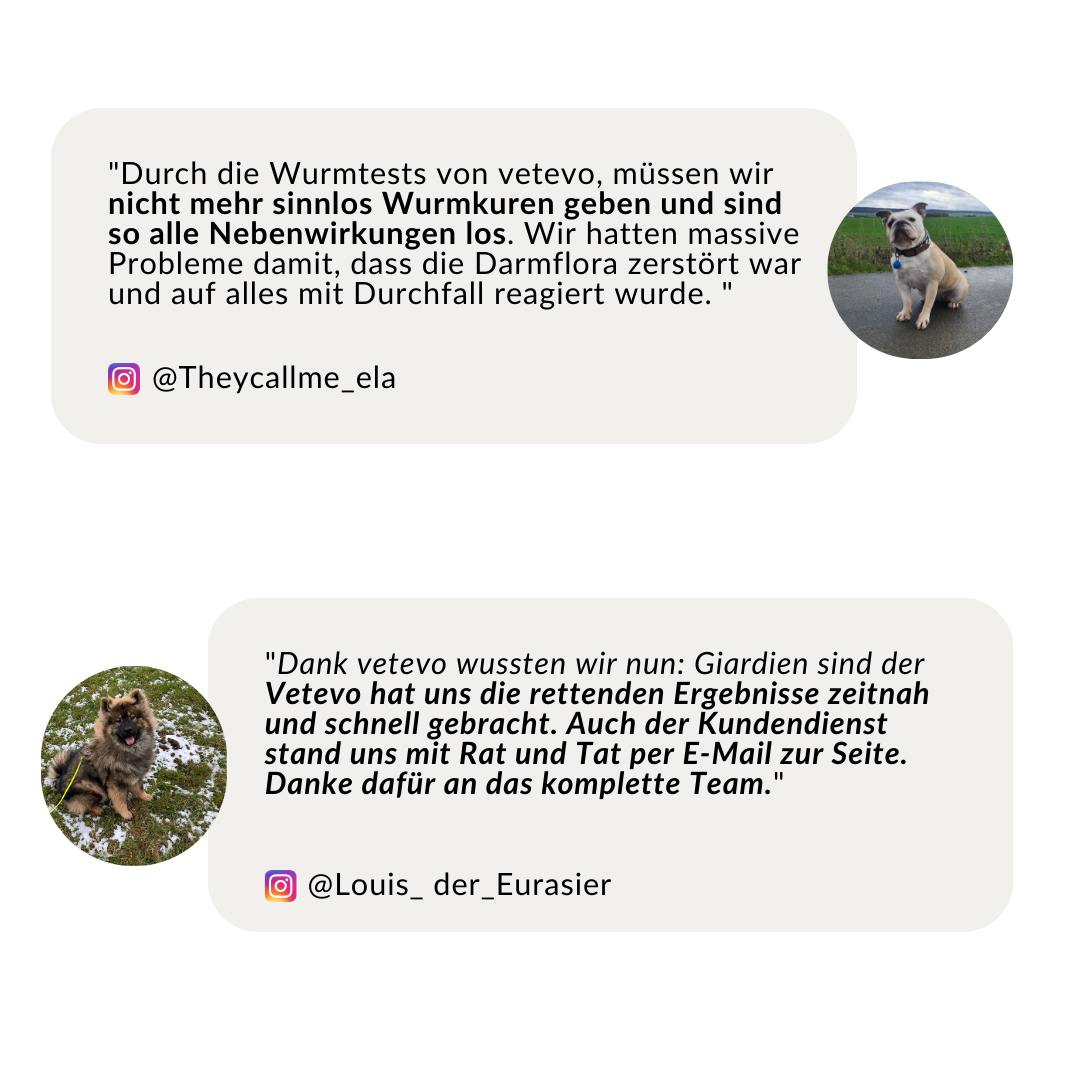 Wurmtest Basic Hund Sparpaket