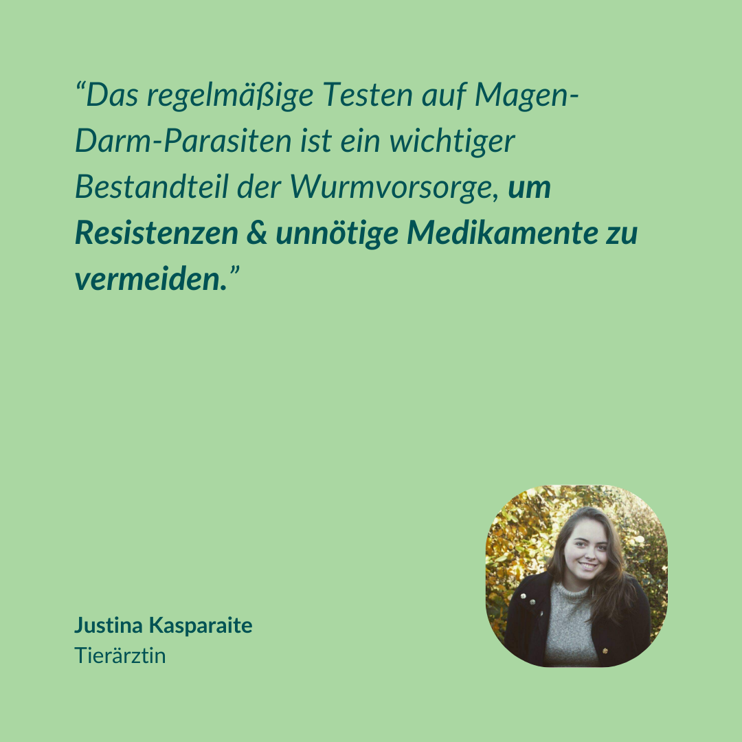 Wurmtest Basic Hund Sparpaket