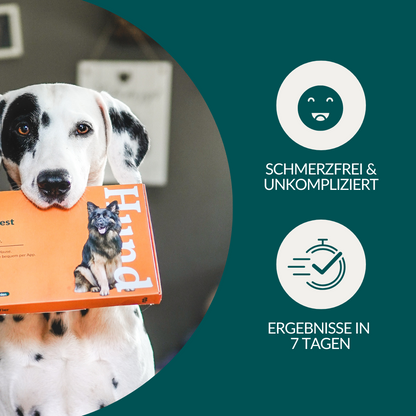Mikronährstofftest - Mängel Hund