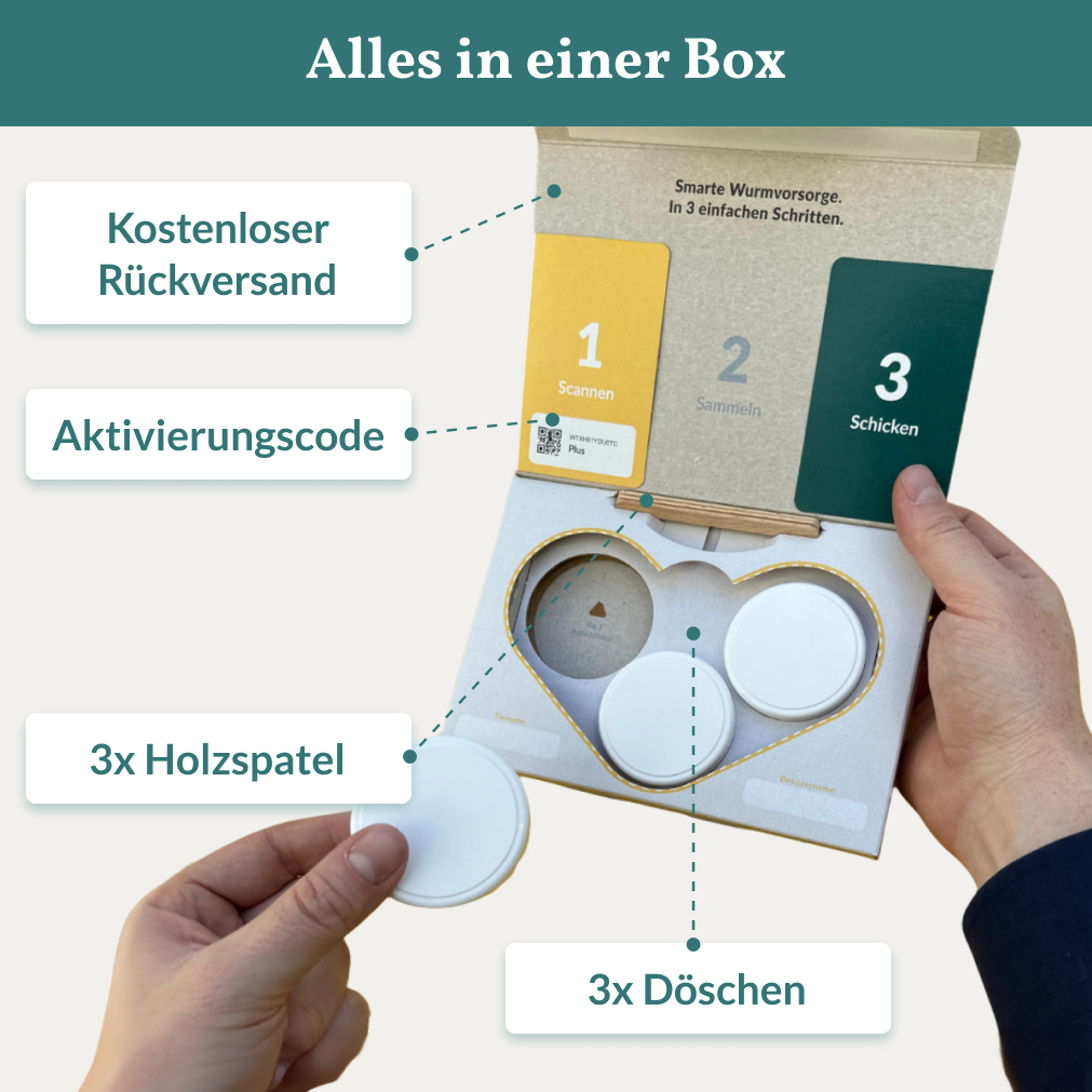 Durchfalltest Hund