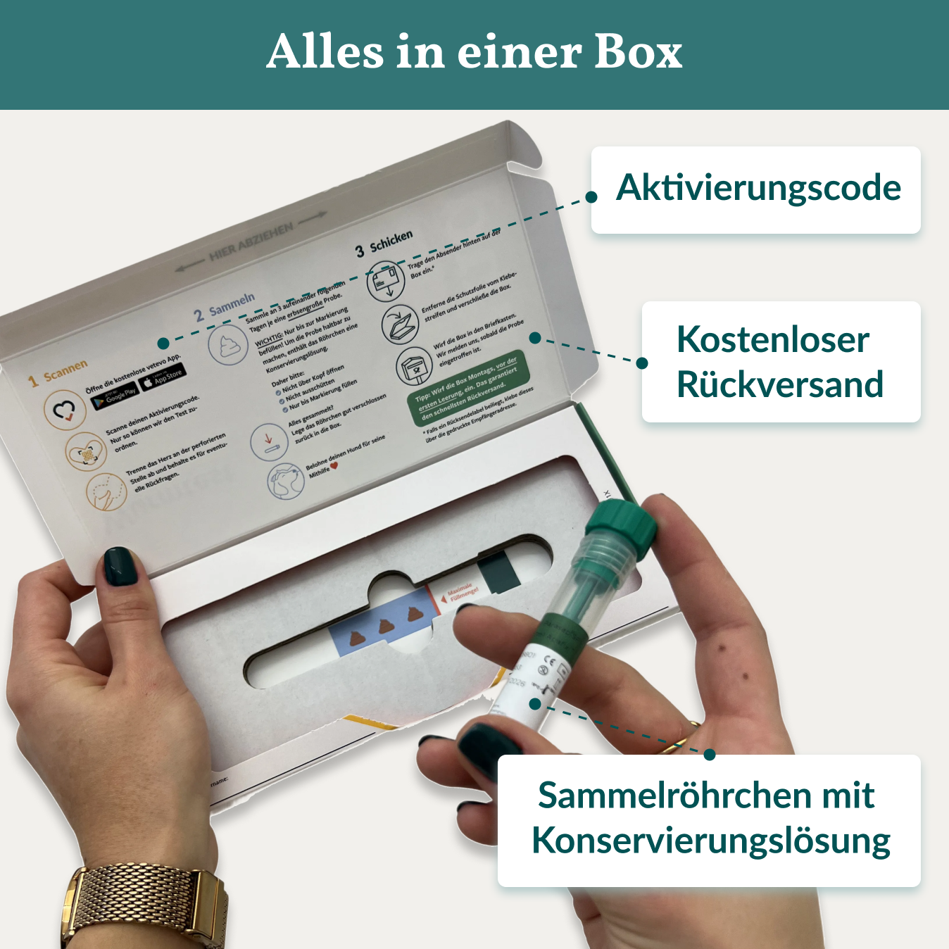 Wurmtest Basic Hund