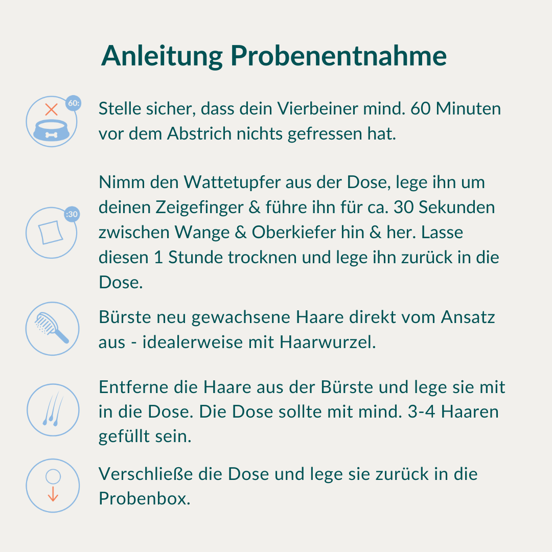 Mikronährstofftest - Mängel Hund