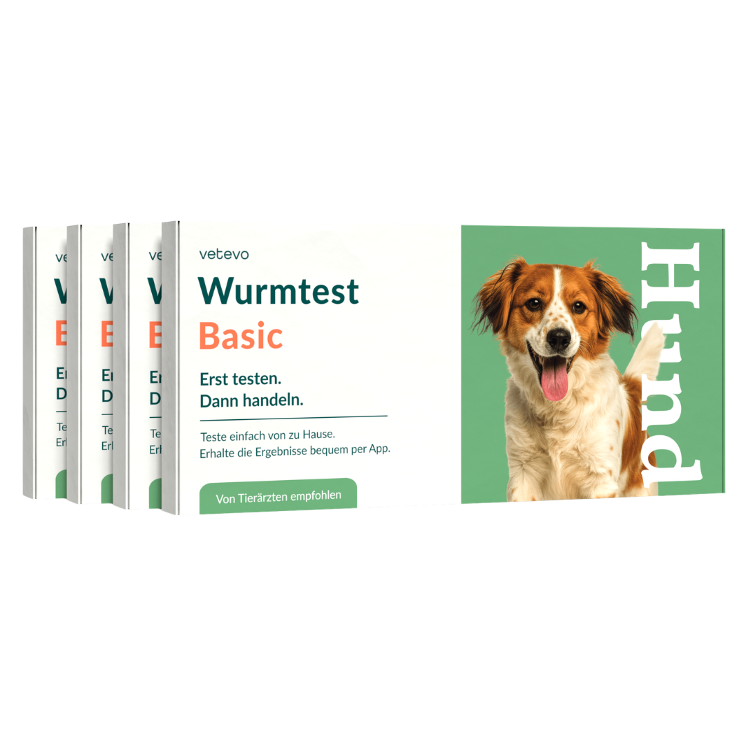 Wurmtest Basic Hund Sparpaket