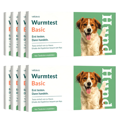 Wurmtest Basic Hund Sparpaket