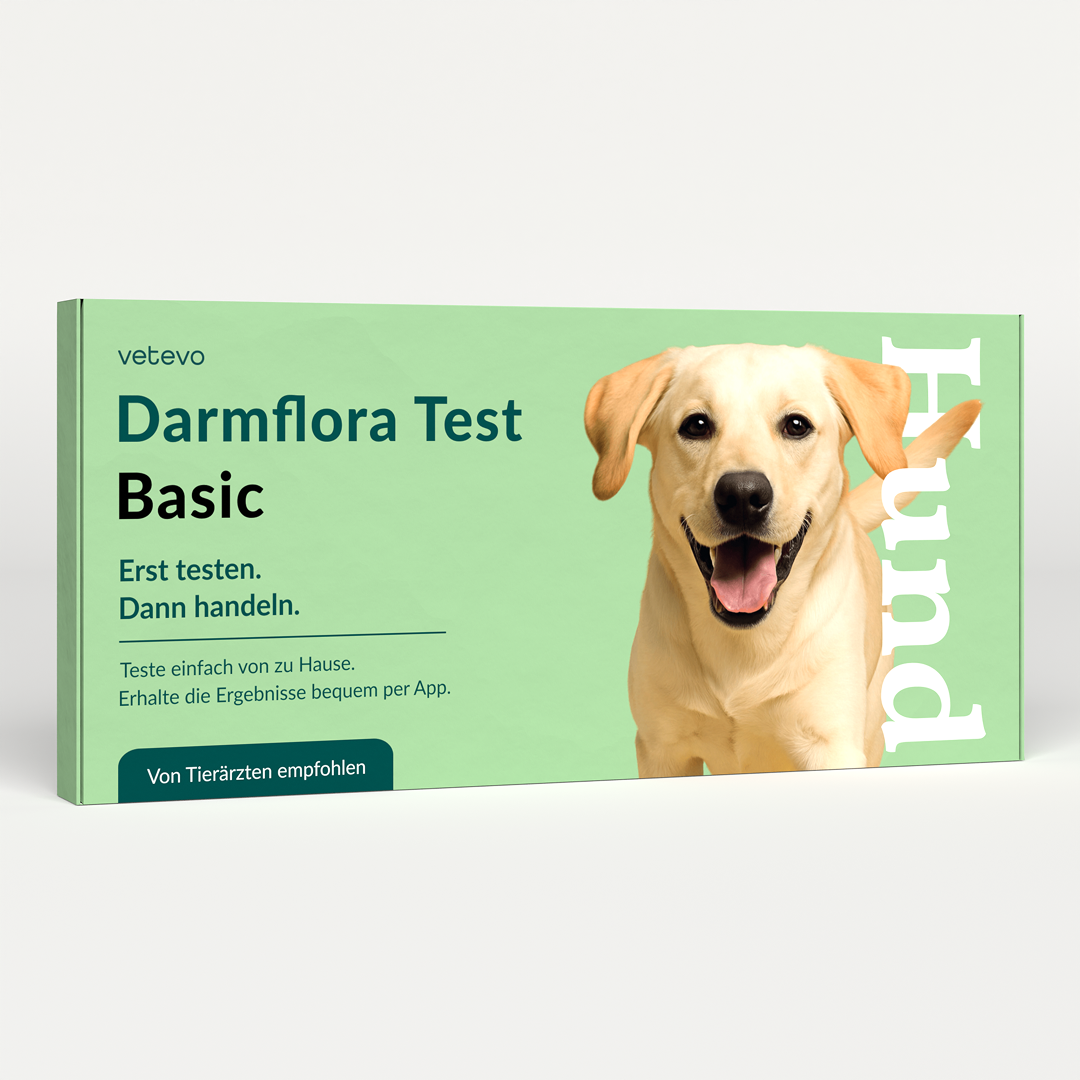 Darmflora Test Hund