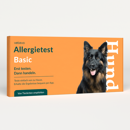 Allergietest Basic Hund