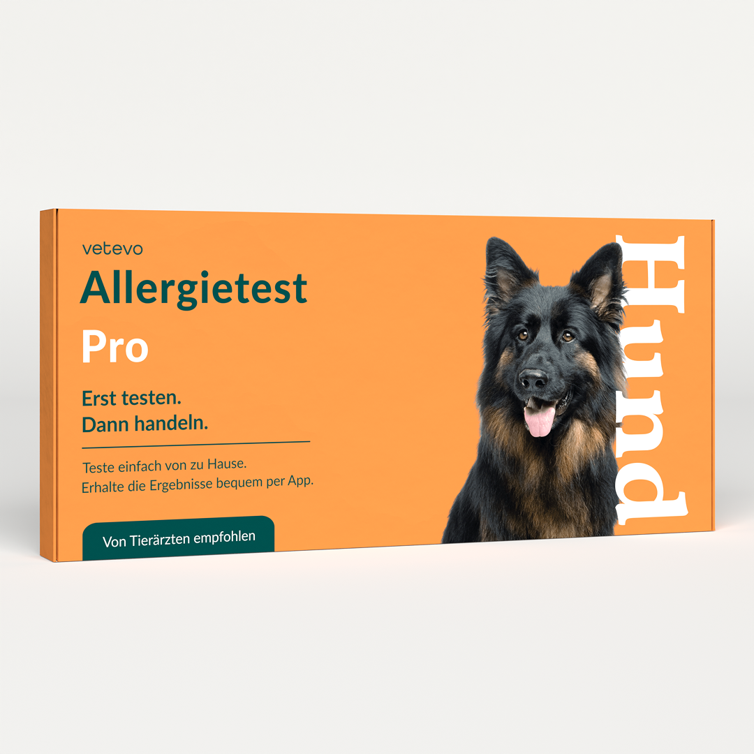 Allergietest Pro Hund