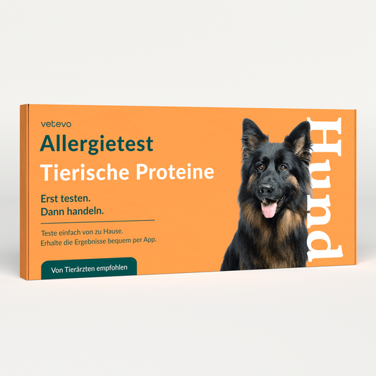 Allergietest - Tierische Proteine Hund