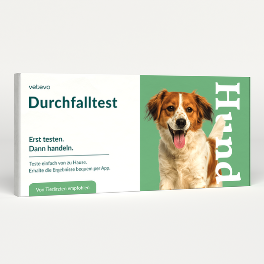Durchfalltest Hund