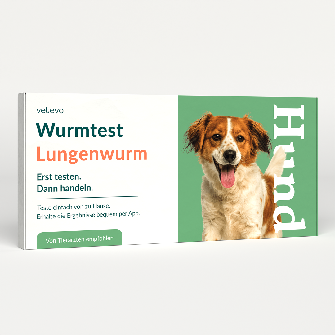 Lungenwurmtest Hund