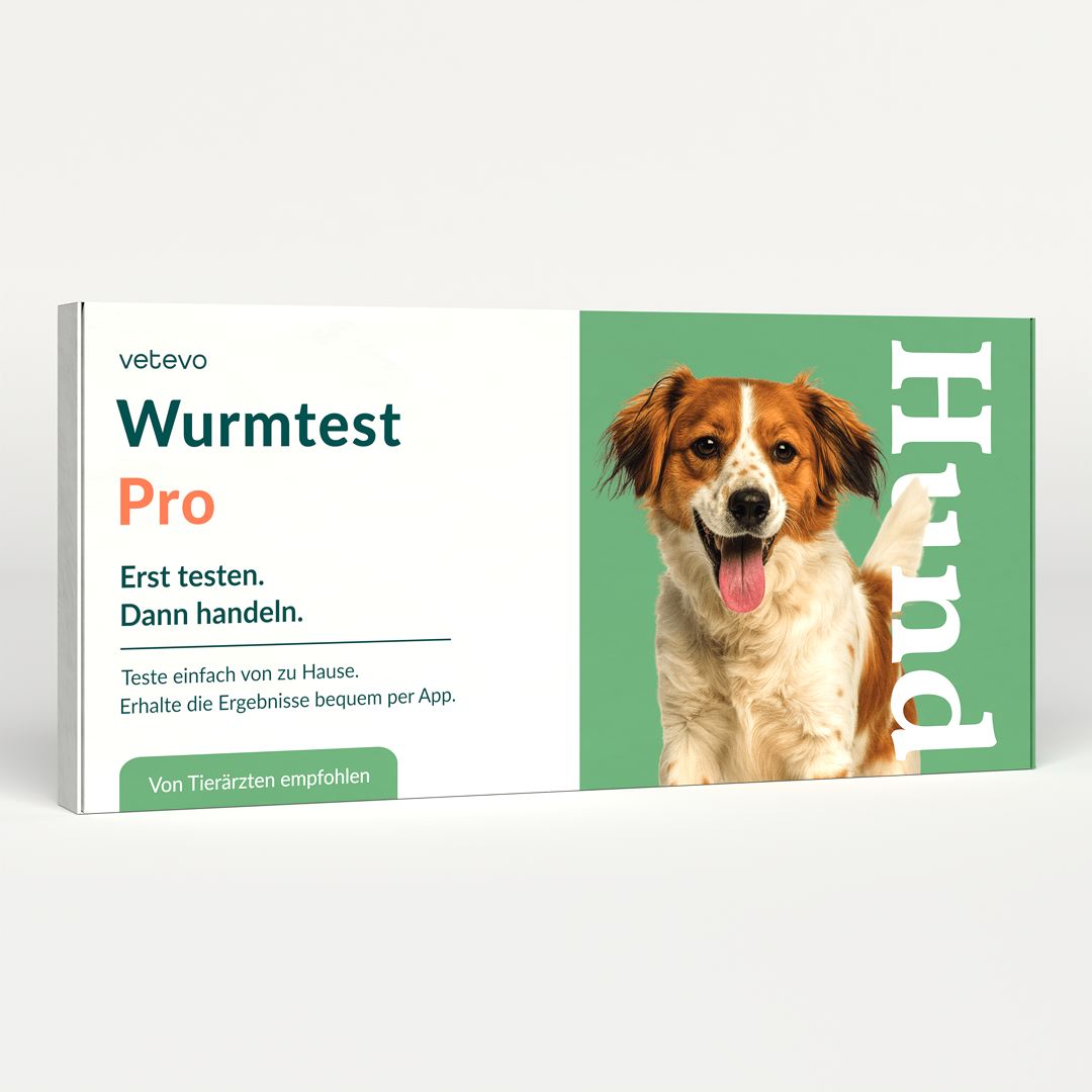 Wurmtest Pro Hund