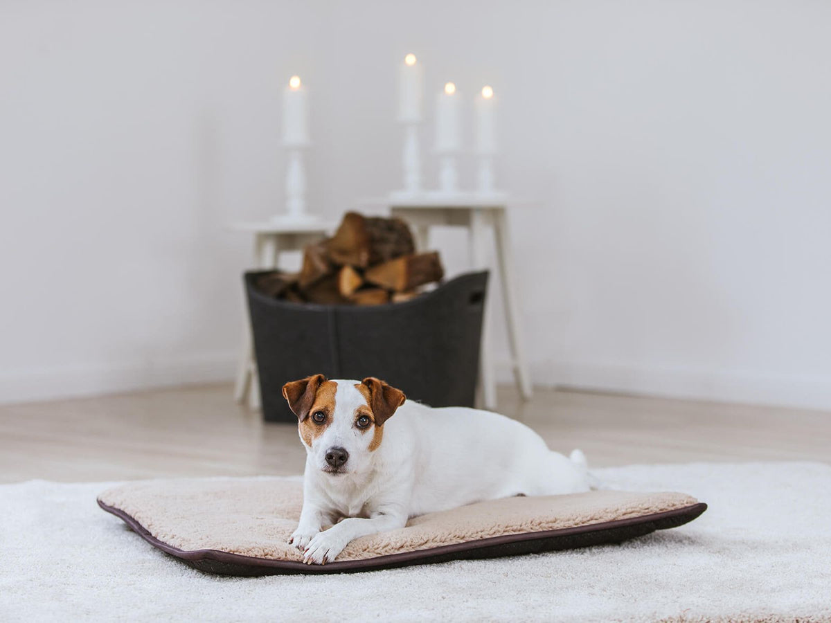 Hundematte HYGGE PAD - beige / für KUDDE S (40 x 50 cm)